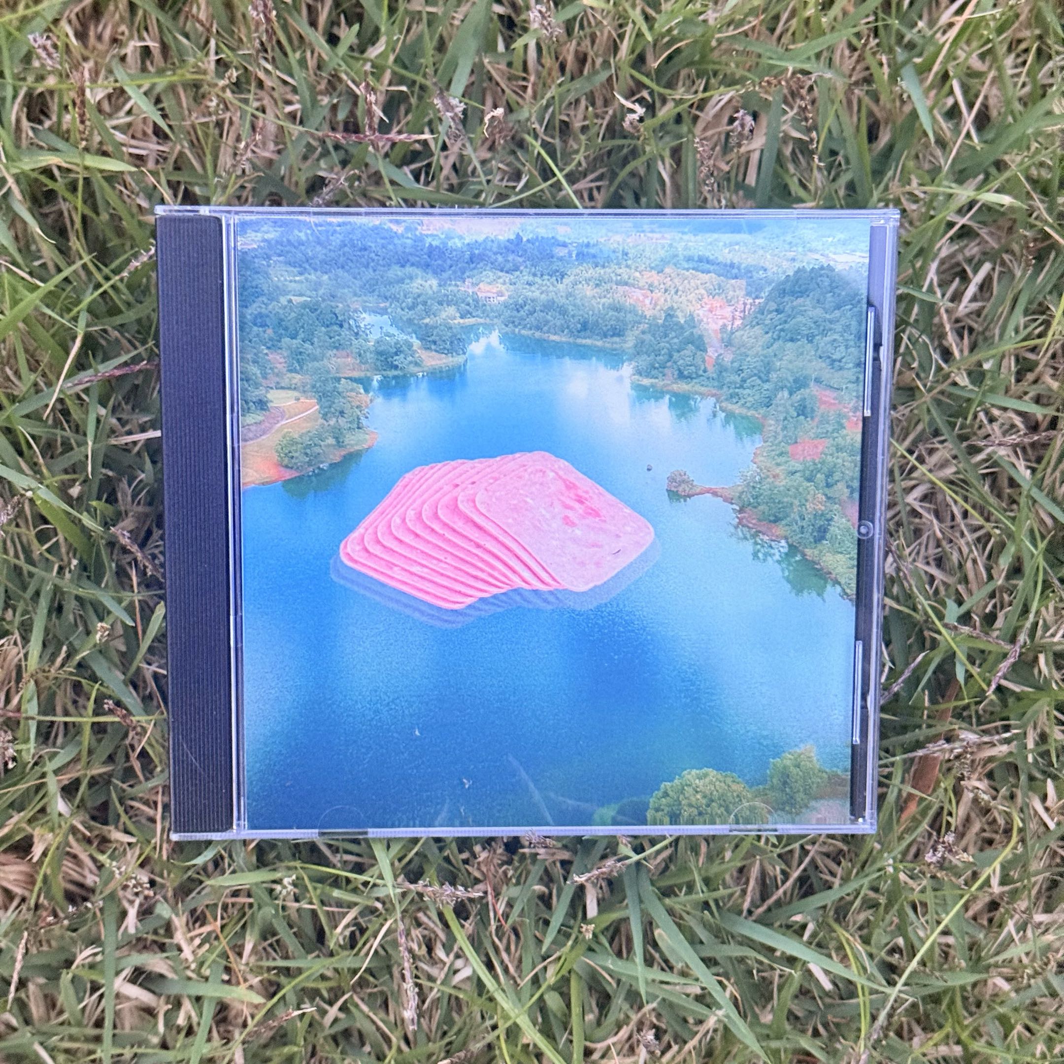 [CD] PONDYLUS - HAM ALBUM