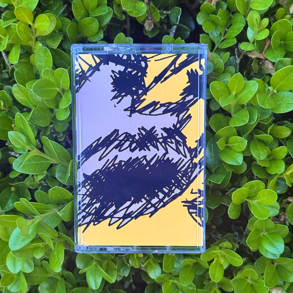 [Cassette] RAGESTER - EAT SOME ICE CREAM ON YOUR BIRTHDAY